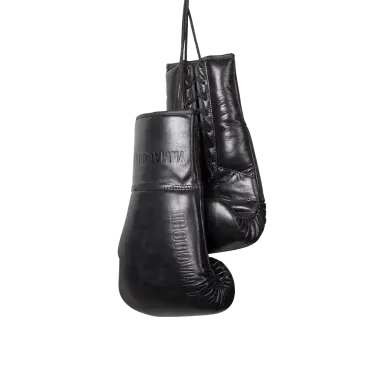 Боксерские перчатки Boxing Gloves